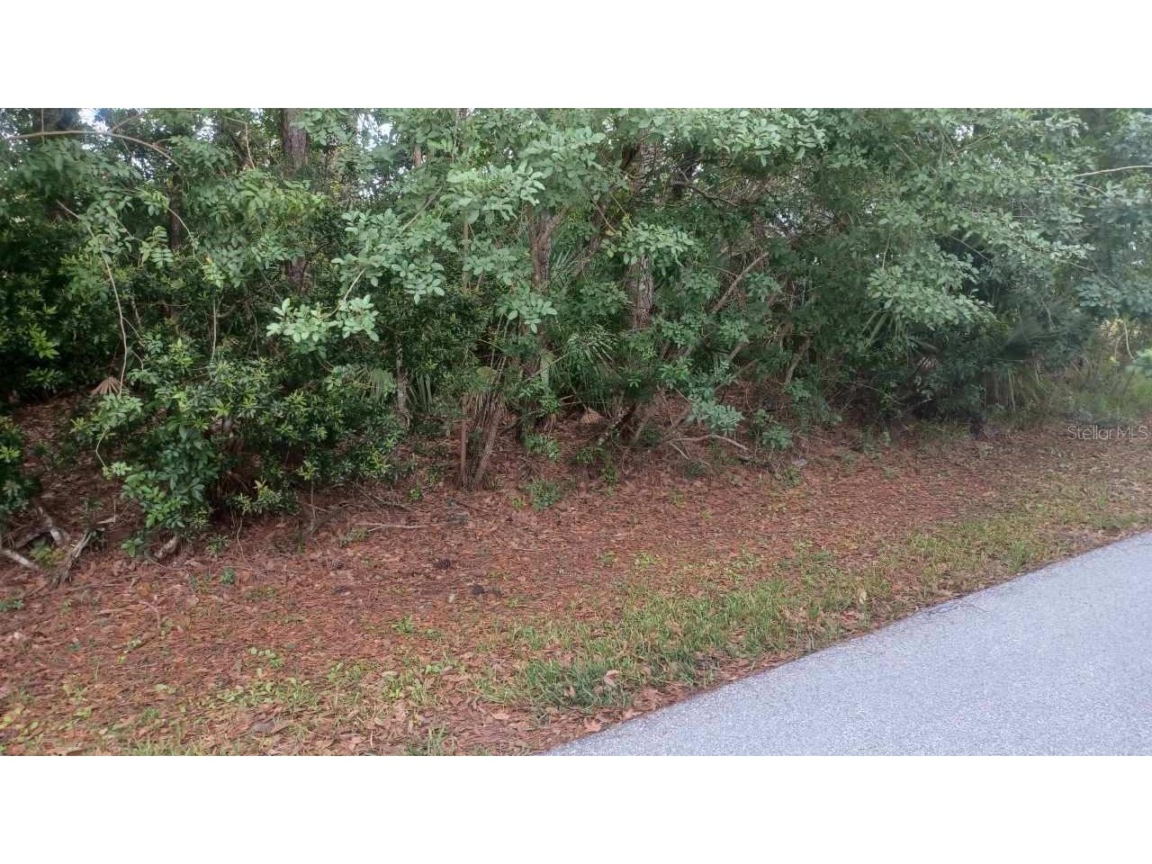 1030 Pasadena Road SE Palm Bay FL 32909 NS1080809 image1