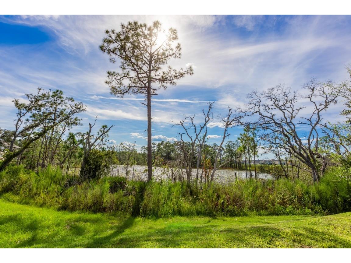 1030 Plantation Lane Davenport FL 33896 O6326280 image42