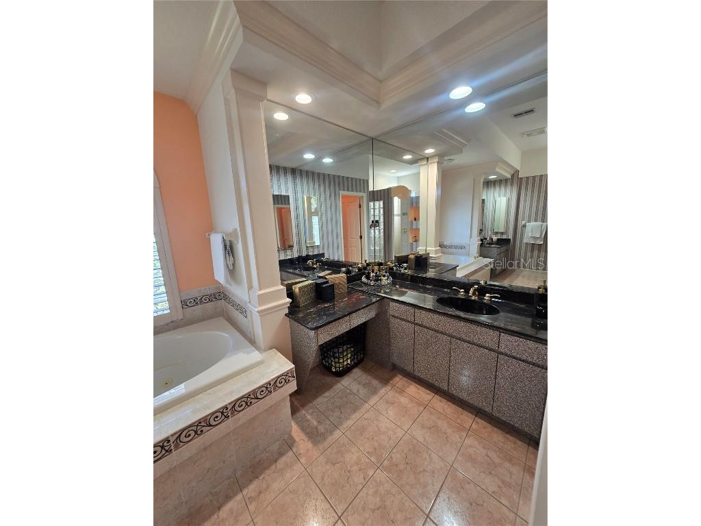 1030 Rowland Pickert Lane Lutz FL 33548 TB8450545 image15