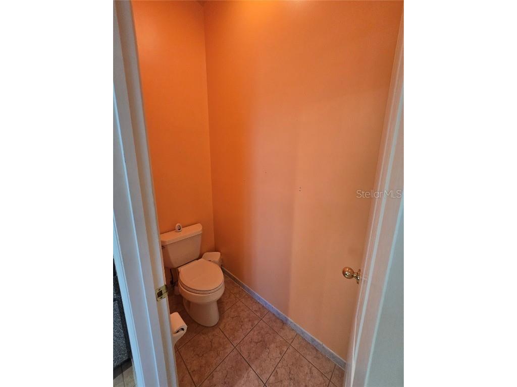 1030 Rowland Pickert Lane Lutz FL 33548 TB8450545 image18