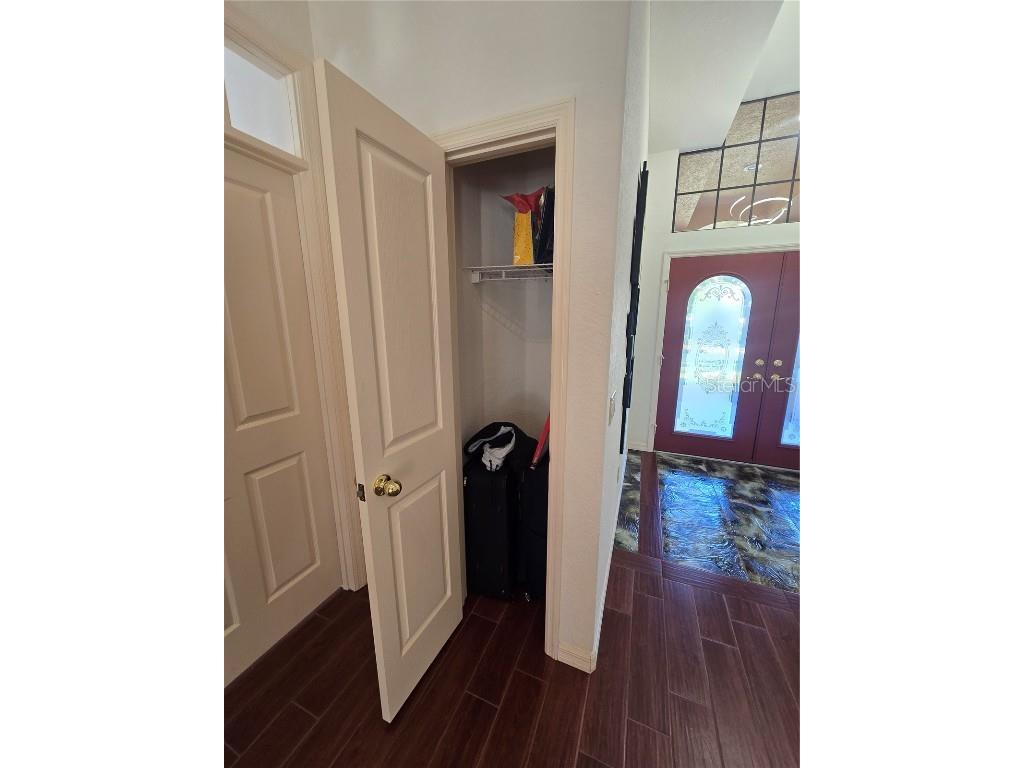 1030 Rowland Pickert Lane Lutz FL 33548 TB8450545 image19