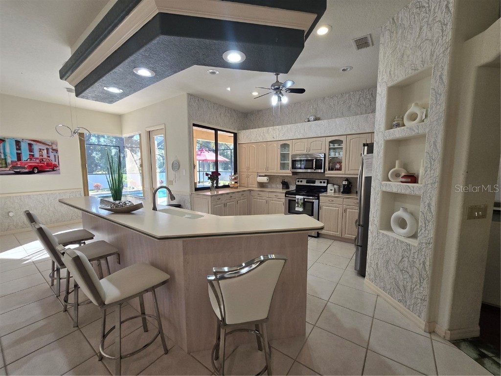 1030 Rowland Pickert Lane Lutz FL 33548 TB8450545 image20