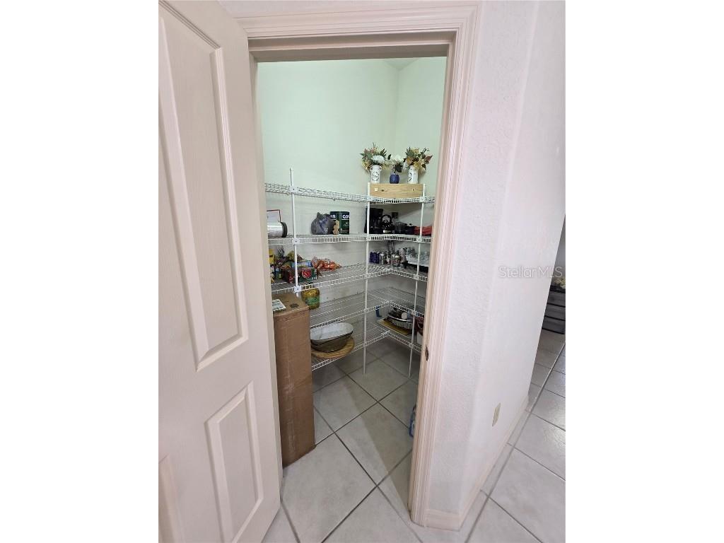 1030 Rowland Pickert Lane Lutz FL 33548 TB8450545 image25