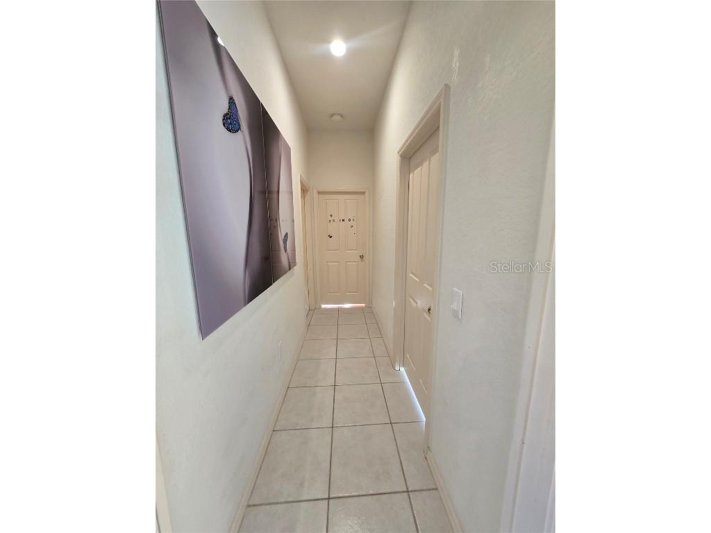 1030 Rowland Pickert Lane Lutz FL 33548 TB8450545 image29