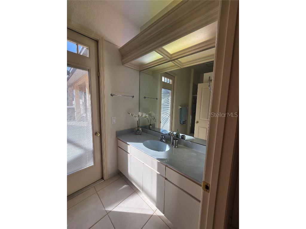 1030 Rowland Pickert Lane Lutz FL 33548 TB8450545 image30