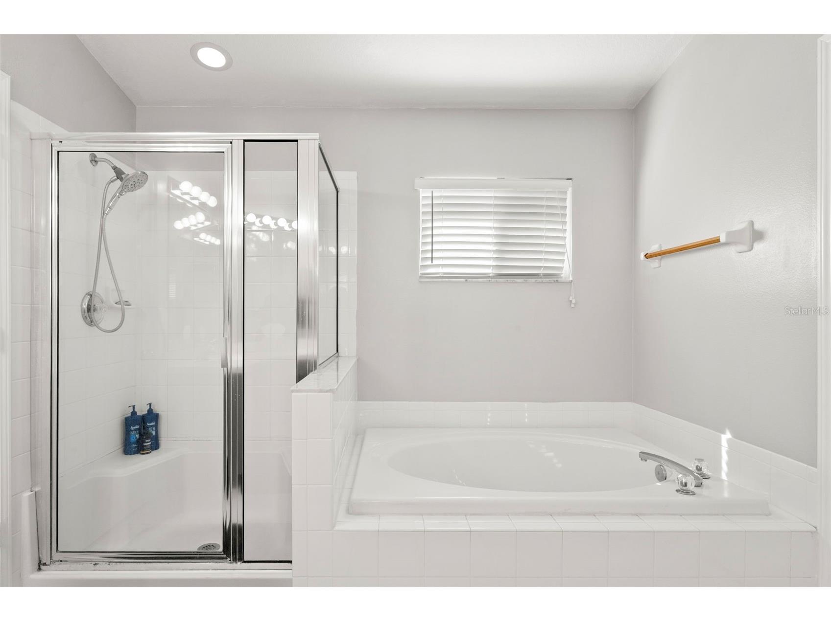 1030 Summer Breeze Drive Brandon FL 33511 TB8479270 image17