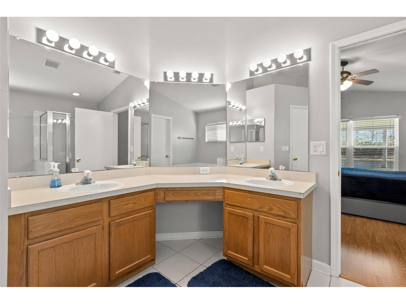 1030 Summer Breeze Drive Brandon FL 33511 TB8479270 image18