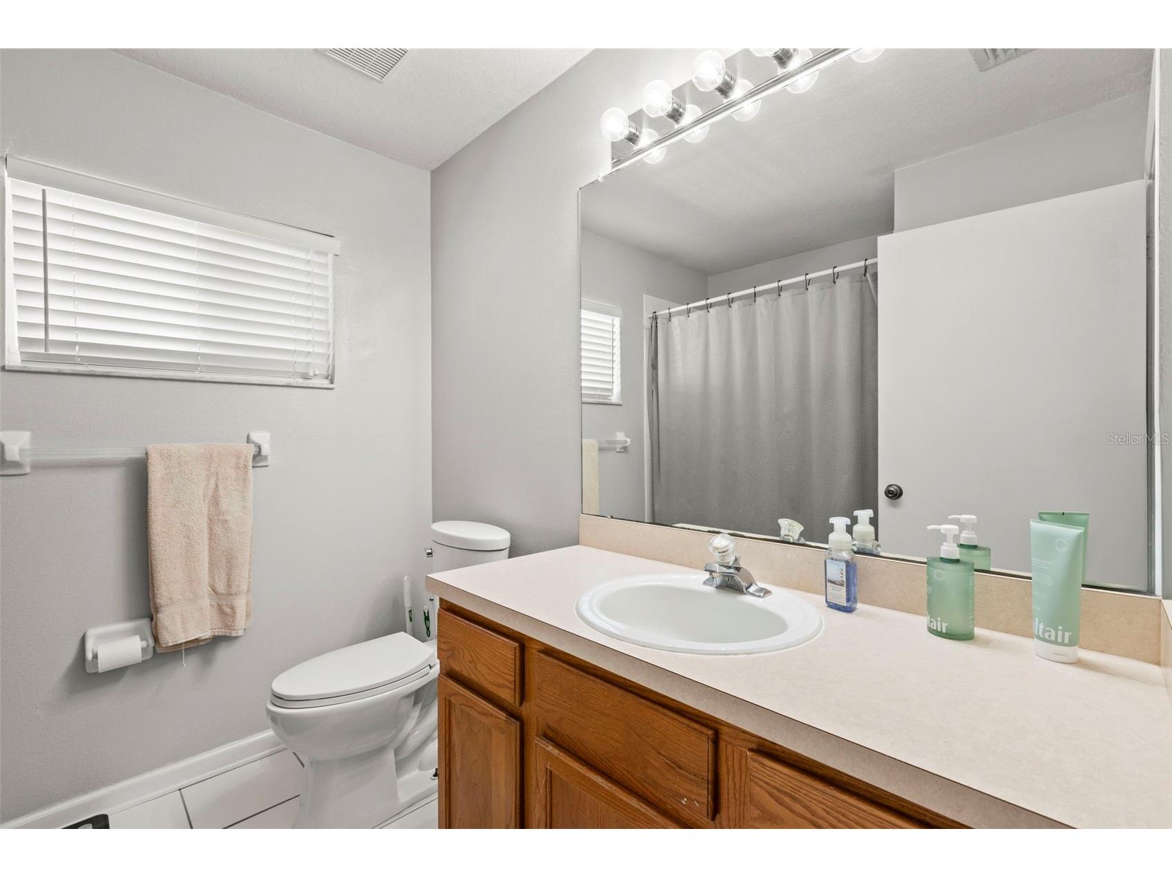 1030 Summer Breeze Drive Brandon FL 33511 TB8479270 image21
