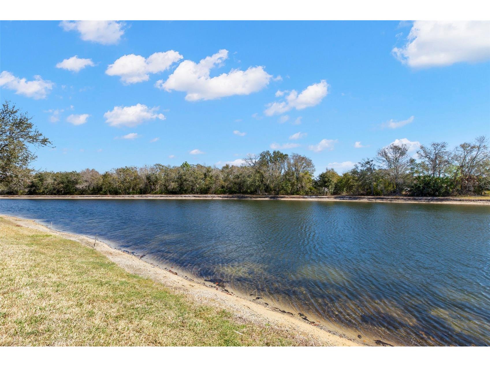 1030 Summer Breeze Drive Brandon FL 33511 TB8479270 image28