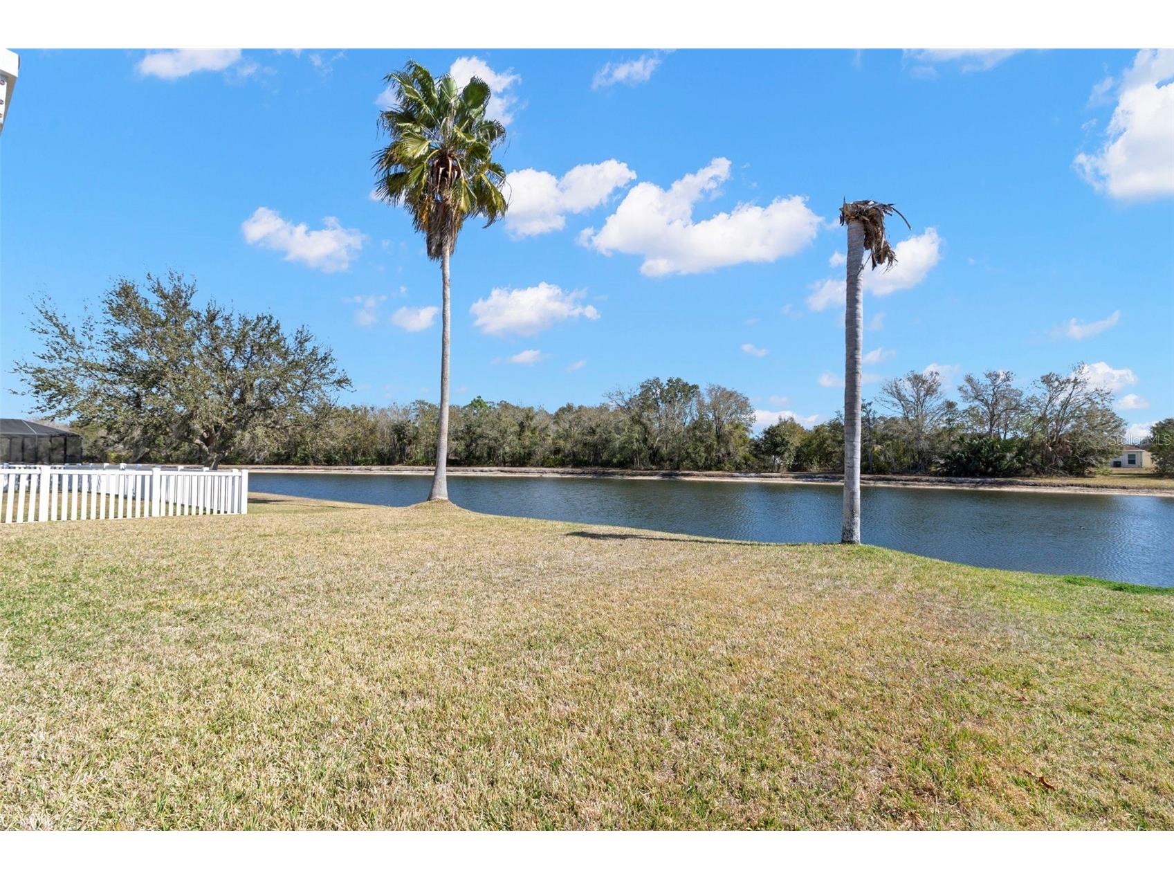 1030 Summer Breeze Drive Brandon FL 33511 TB8479270 image29