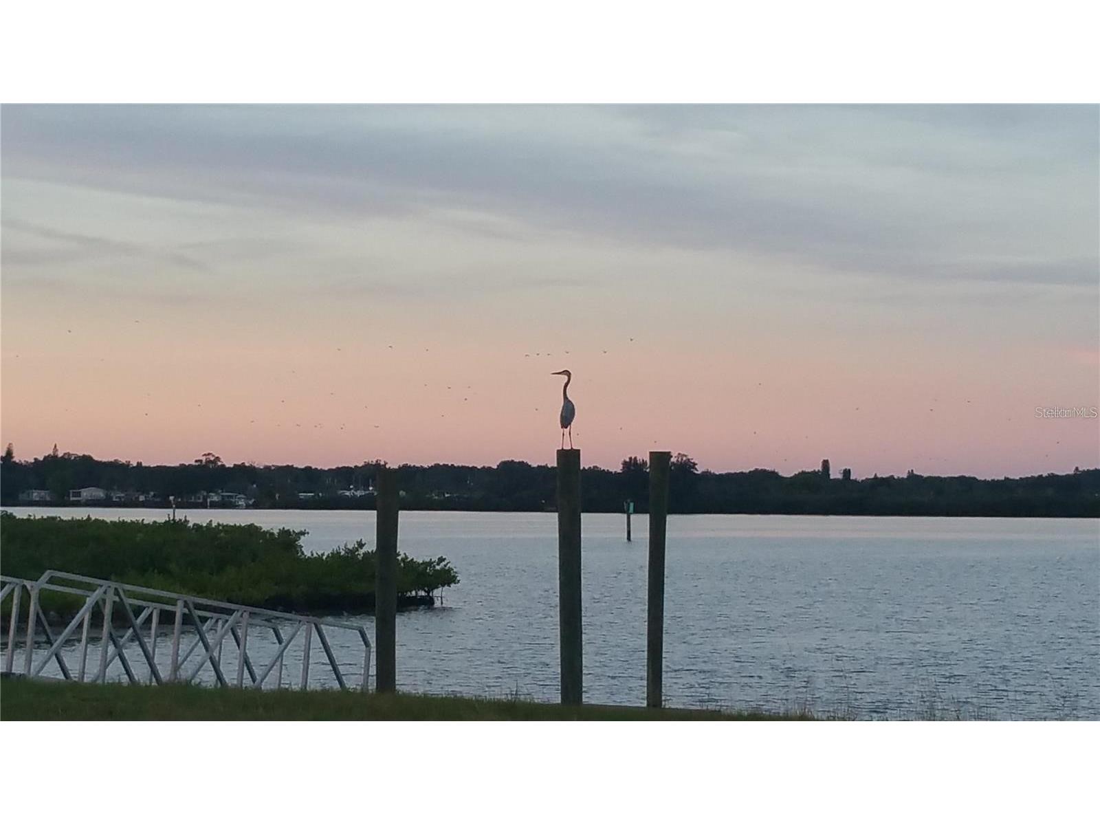 1030 Tidewater Shores Loop #401 Bradenton FL 34208 - MANATEE RIVER A4675232 image51