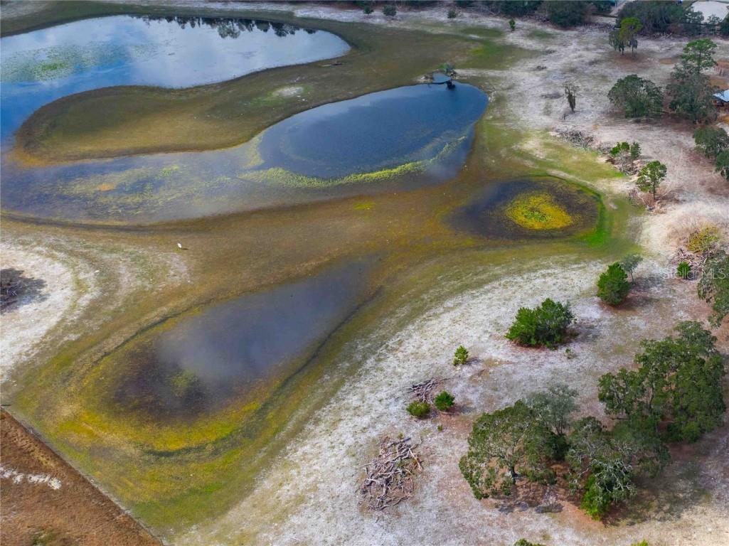 10300 Cortez Boulevard Brooksville FL 34613 TB8353454 image9