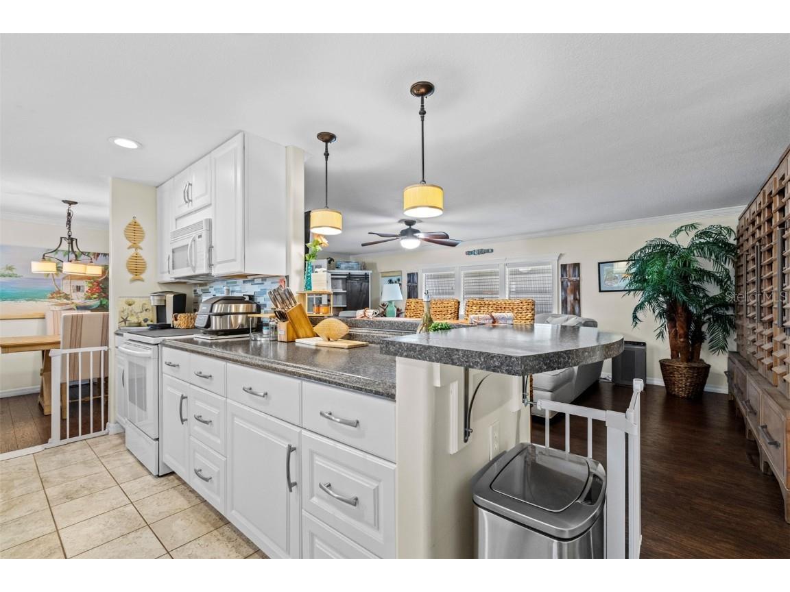 10300 Holiday Lane #361 Largo FL 33773 - LAKE SEMINOLE TB8377295 image8