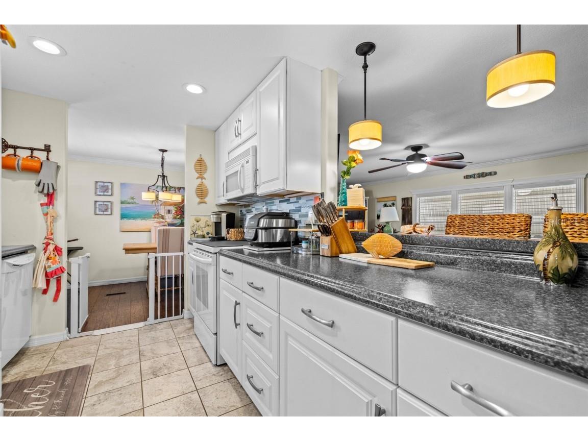 10300 Holiday Lane #361 Largo FL 33773 - LAKE SEMINOLE TB8377295 image9