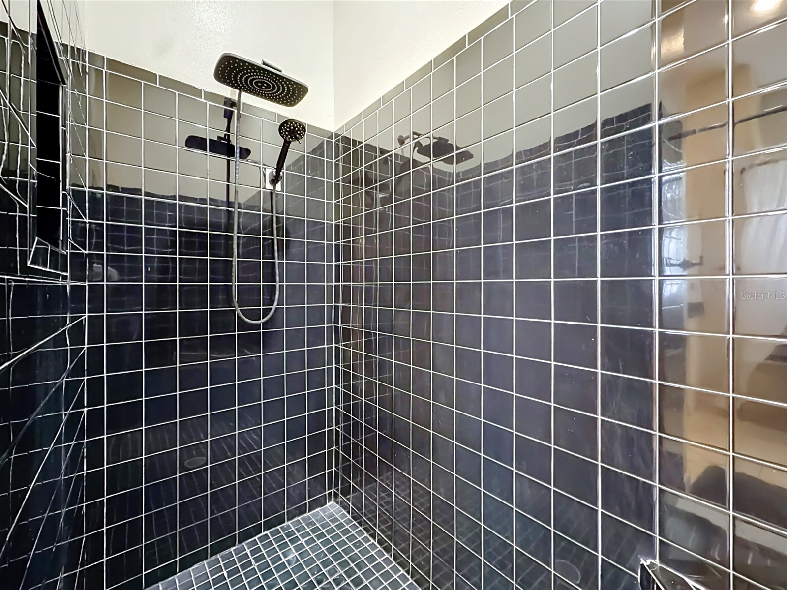 10301 Fox Sparrow Avenue Weeki Wachee FL 34613 W7887363 image28