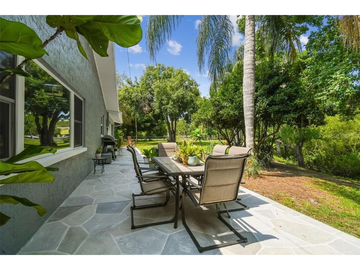 10301 Nina Court New Port Richey FL 34654 W7881143 image35