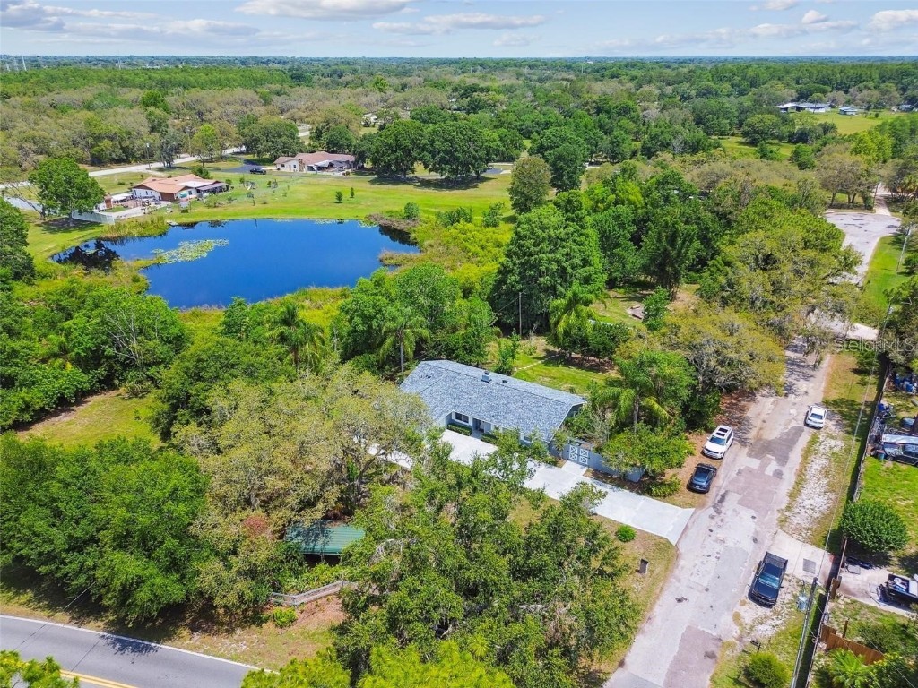 10301 Nina Court New Port Richey FL 34654 W7881143 image4