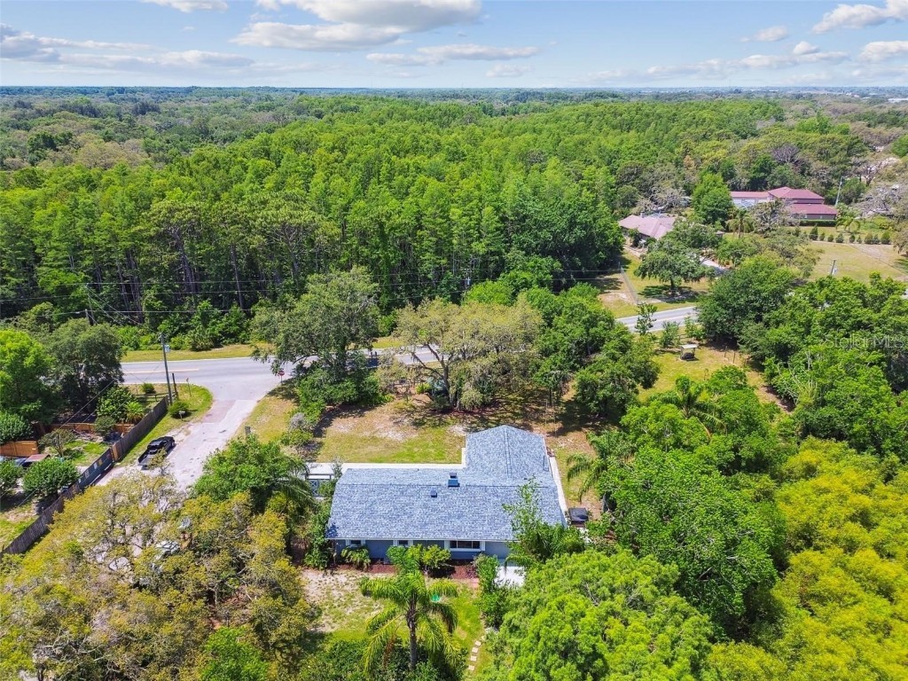 10301 Nina Court New Port Richey FL 34654 W7881143 image45