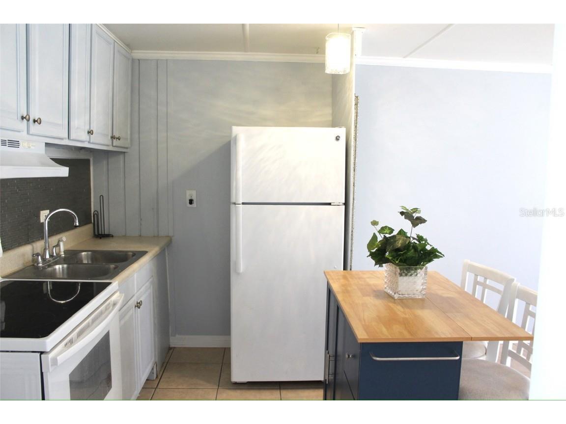 10301 Us Highway 27 #192 Clermont FL 34711 - LAKE LOUISA G5102530 image3