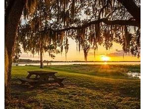 10301 Us Highway 27 #22 Clermont FL 34711 - LAKE LOUSIA O6425374 image27