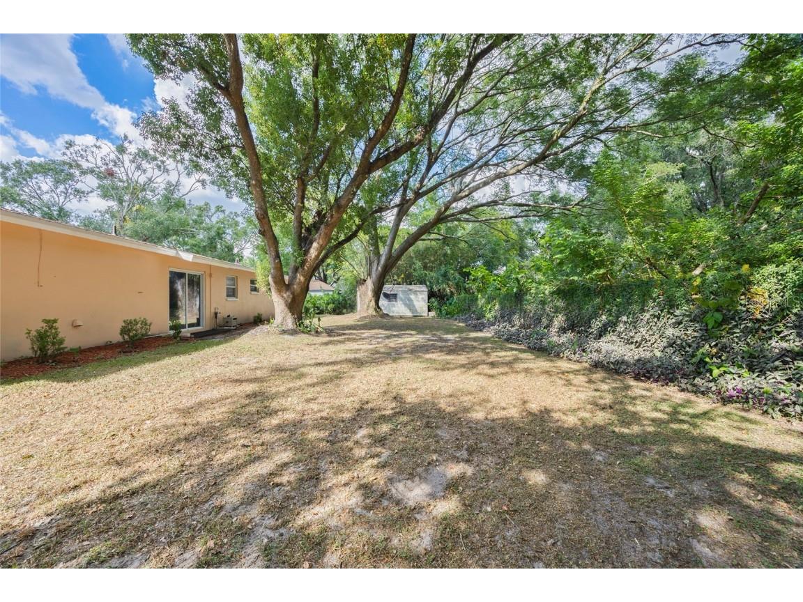 10303 N Myrtle Street Tampa FL 33617 TB8440636 image30