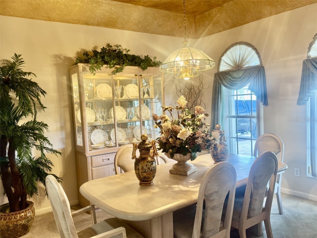 10303 Newington Drive Orlando FL 32836 O6341385 image11