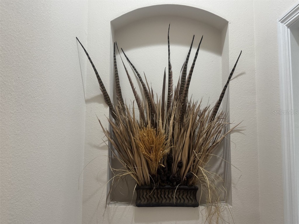 10303 Newington Drive Orlando FL 32836 O6341385 image14