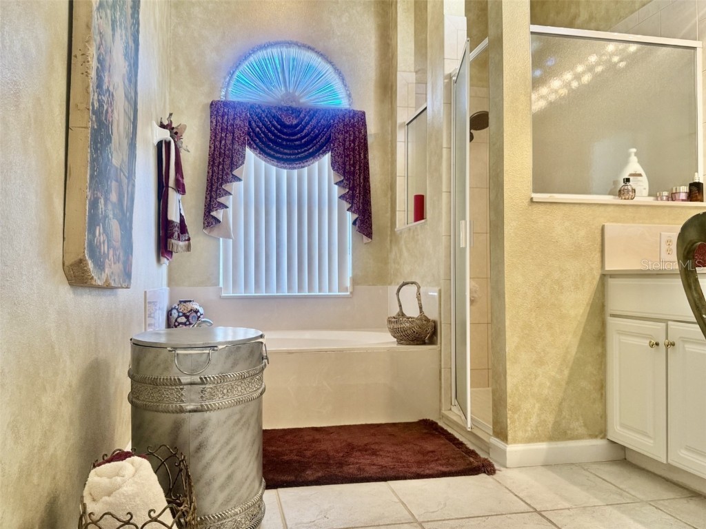 10303 Newington Drive Orlando FL 32836 O6341385 image17