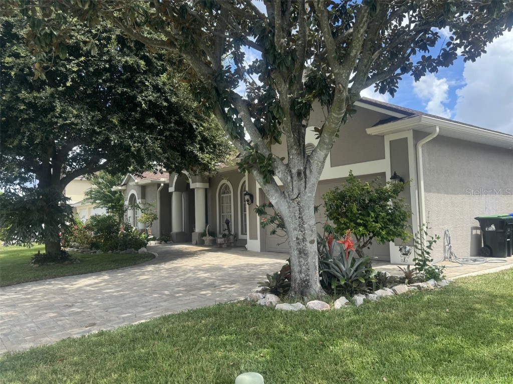 10303 Newington Drive Orlando FL 32836 O6341385 image5