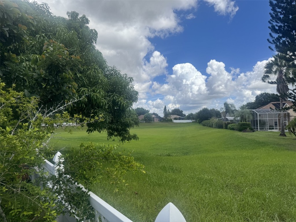 10303 Newington Drive Orlando FL 32836 O6341385 image51