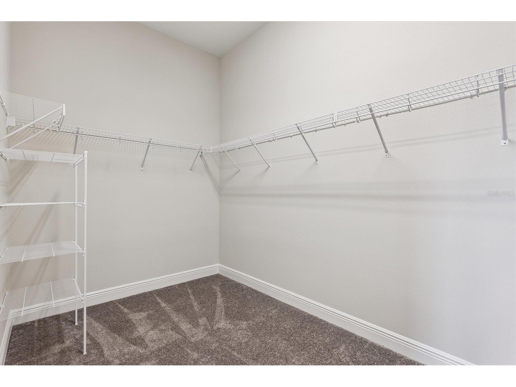 10303 Surrey Rose Drive San Antonio FL 33576 TB8435278 image9