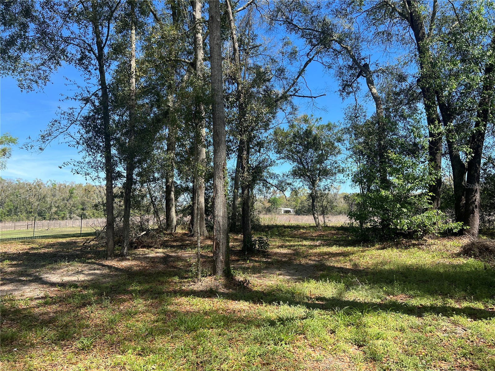 10304 NW 25th Court Branford FL 32008 GC538287 image10