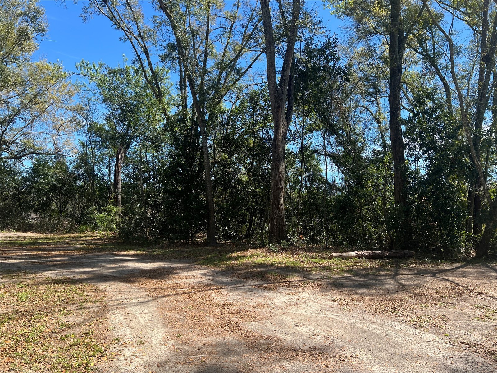 10304 NW 25th Court Branford FL 32008 GC538287 image3