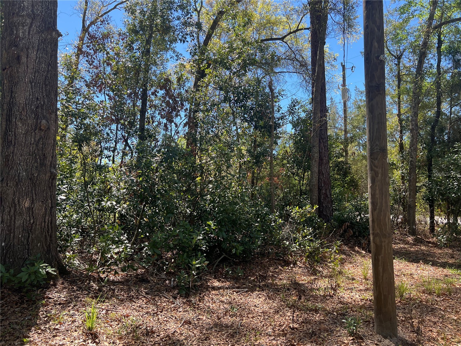 10304 NW 25th Court Branford FL 32008 GC538287 image32