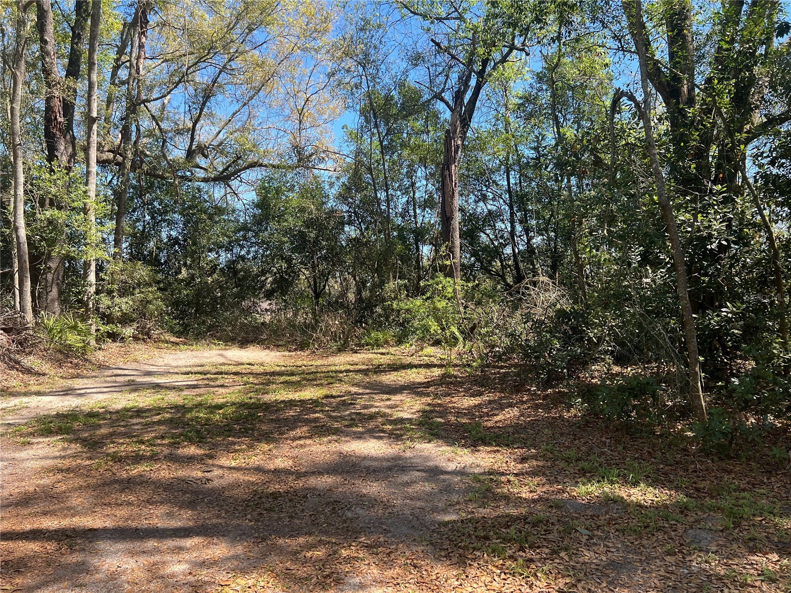 10304 NW 25th Court Branford FL 32008 GC538287 image5