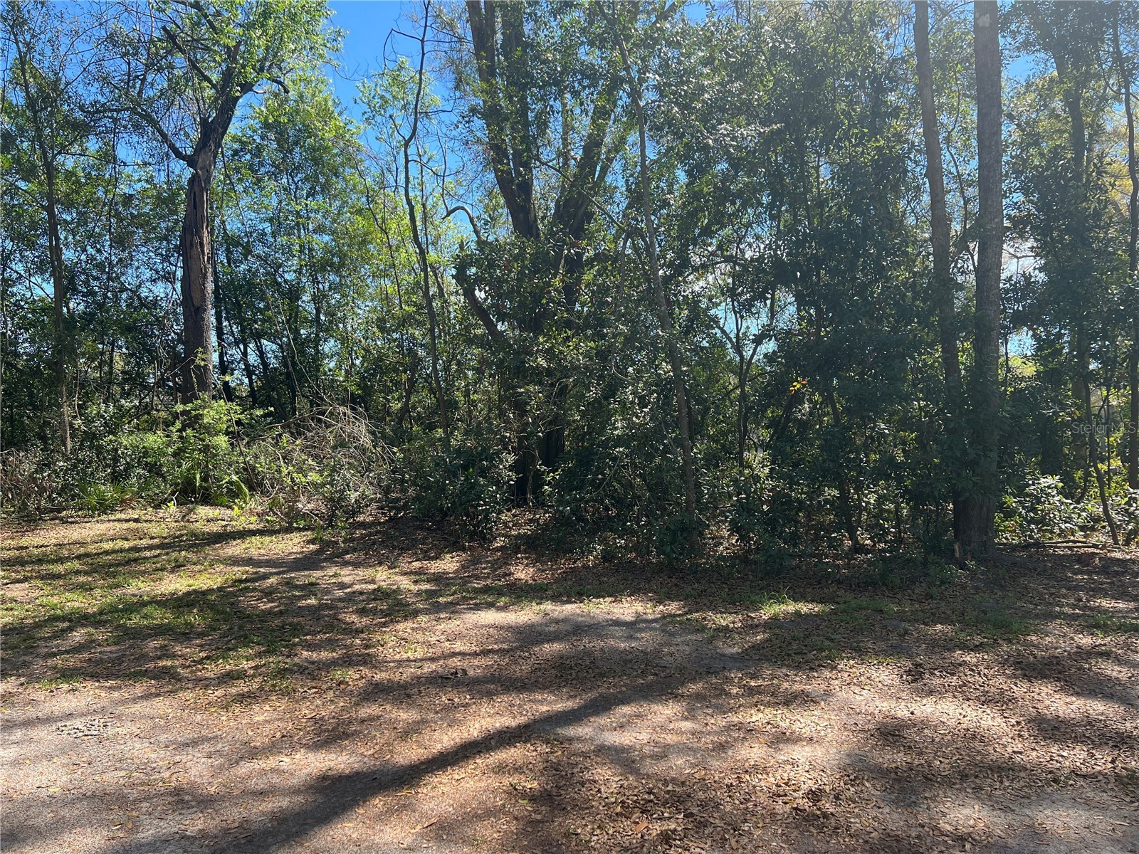 10304 NW 25th Court Branford FL 32008 GC538287 image6