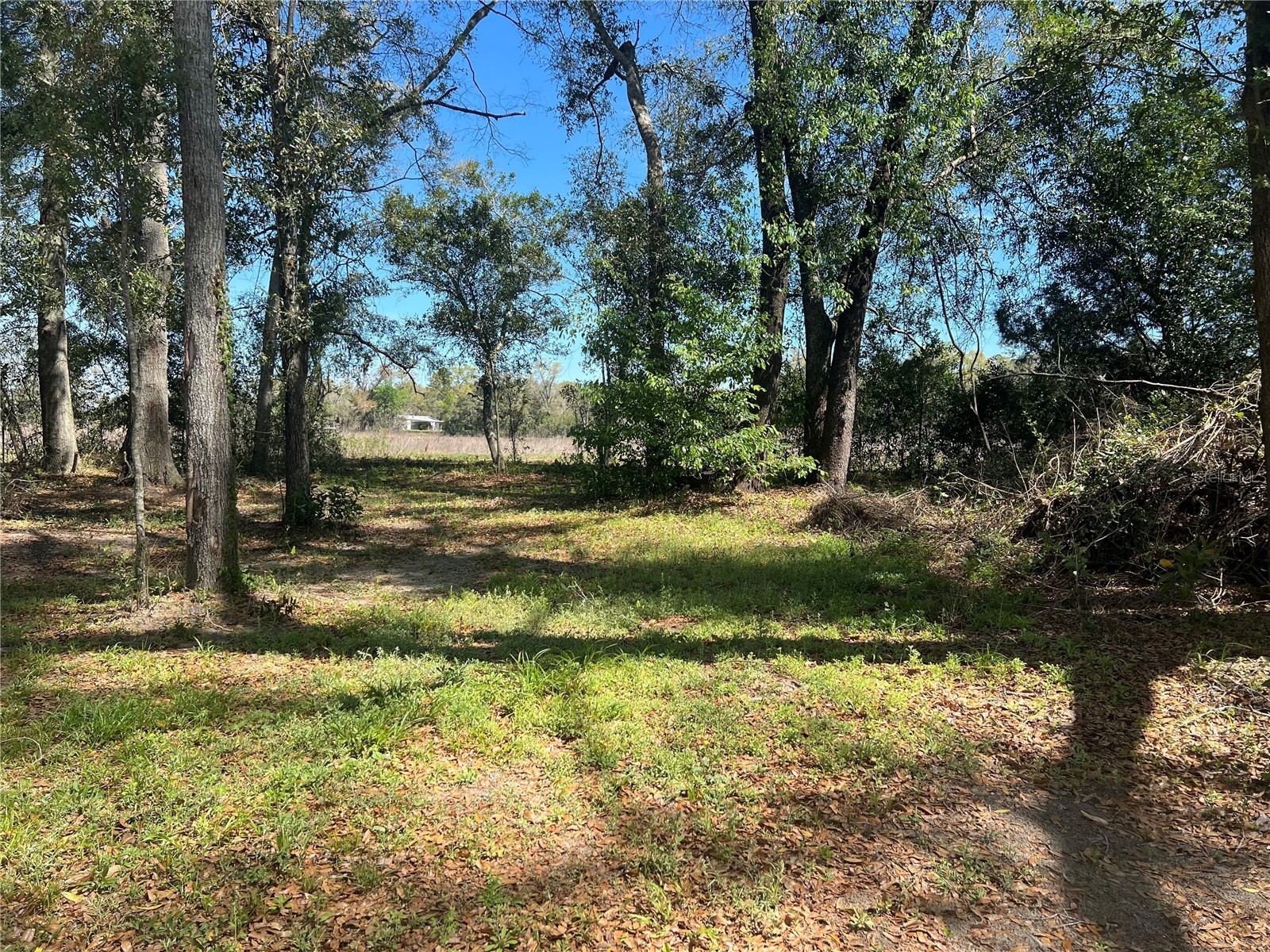 10304 NW 25th Court Branford FL 32008 GC538287 image7