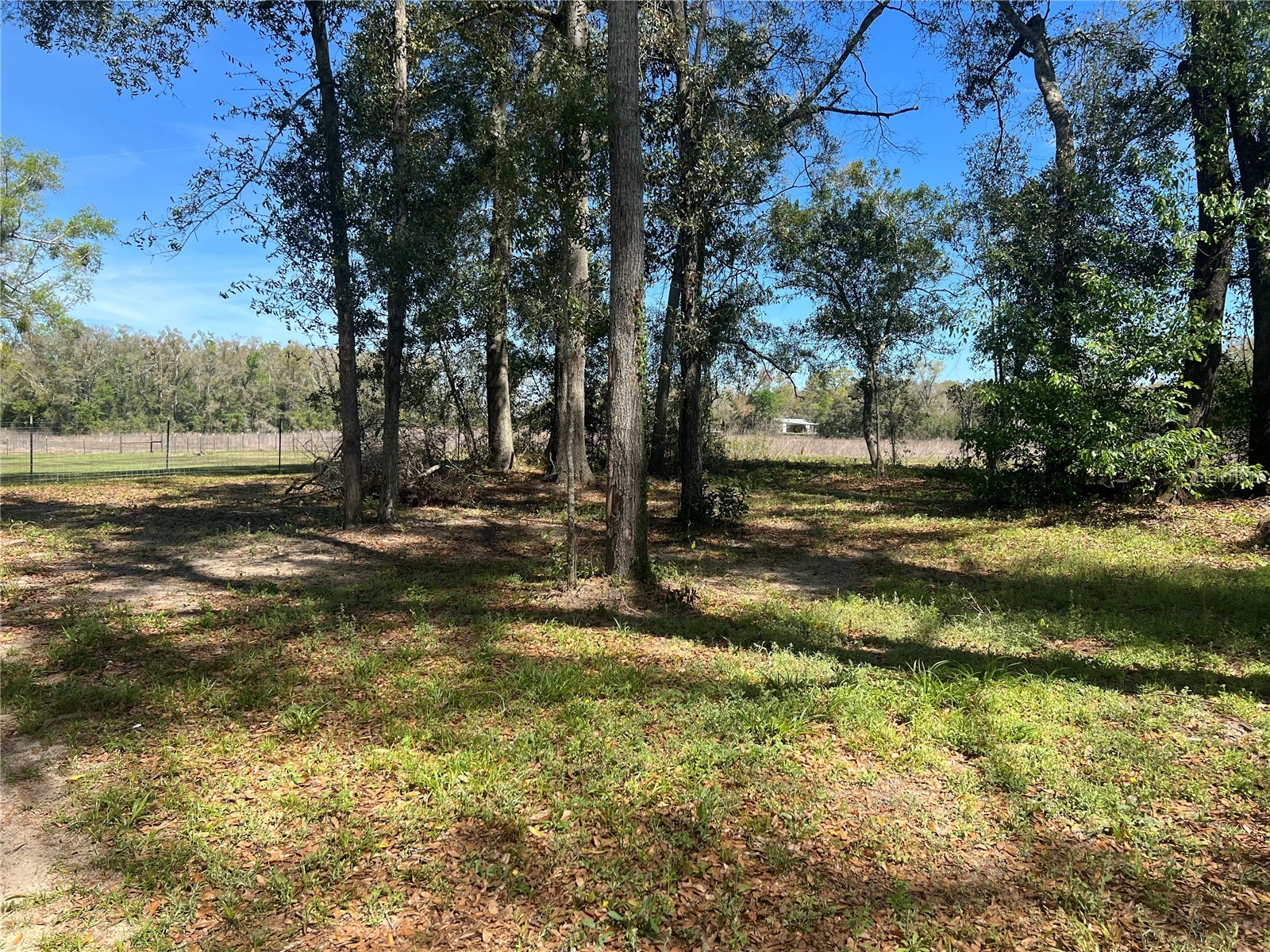 10304 NW 25th Court Branford FL 32008 GC538287 image9