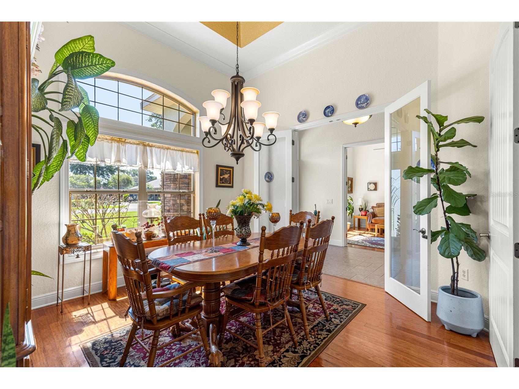 10304 SE 41st Terrace Belleview FL 34420 OM724836 image8