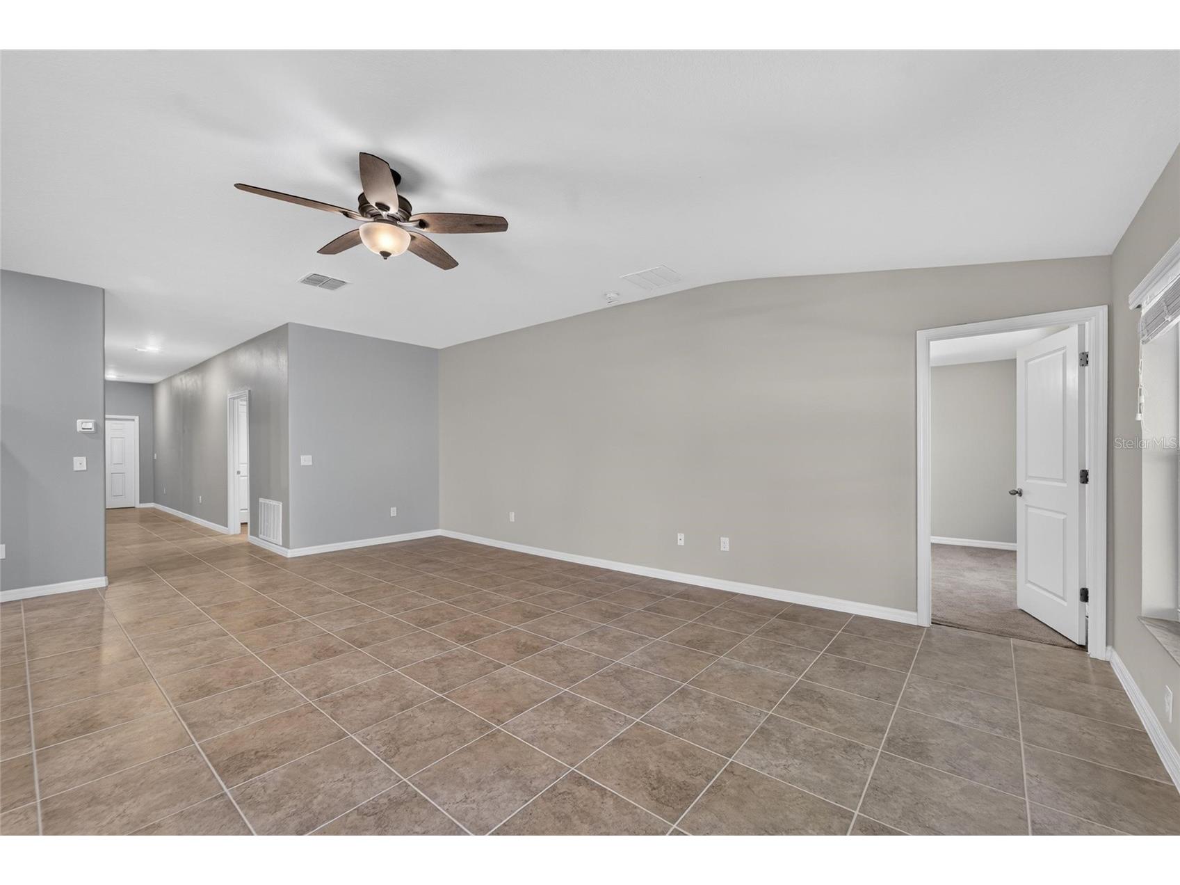 10304 Strawberry Tetra Drive Riverview FL 33578 TB8529876 image11