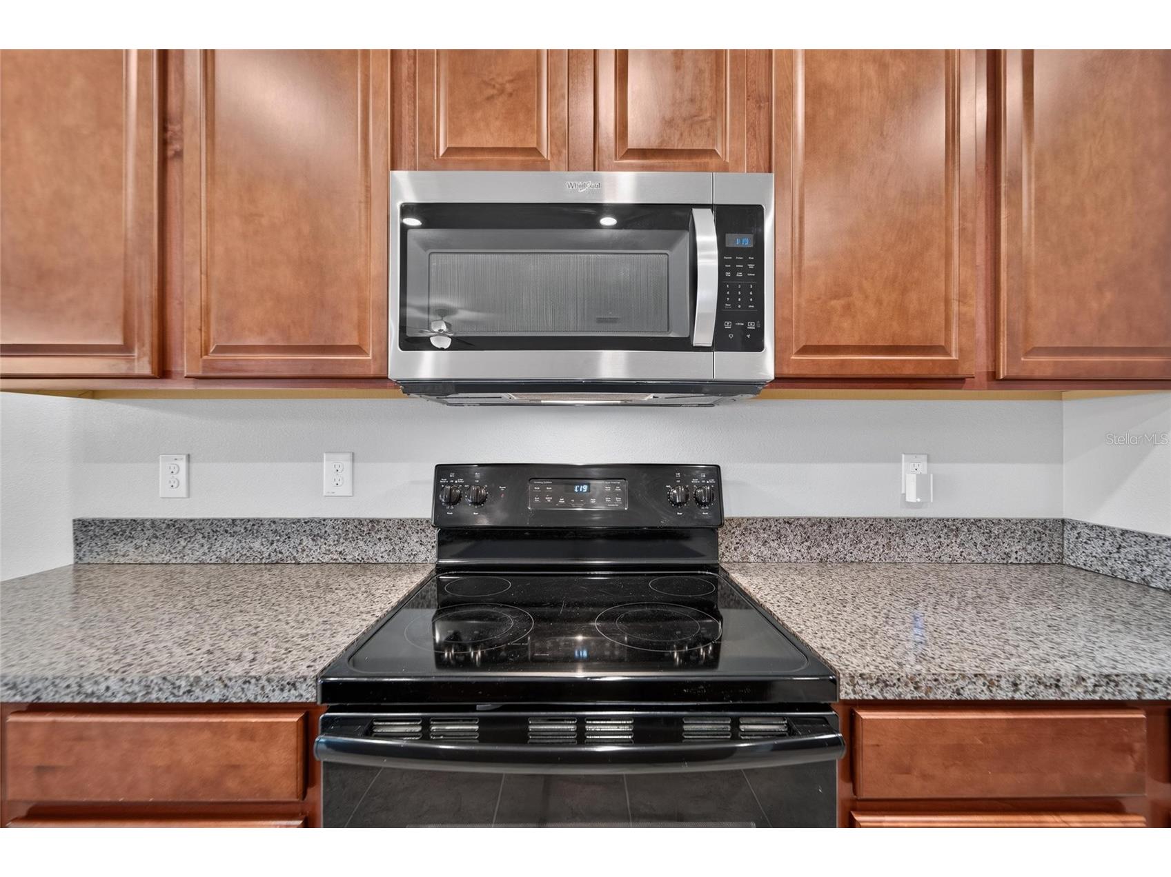 10304 Strawberry Tetra Drive Riverview FL 33578 TB8529876 image20