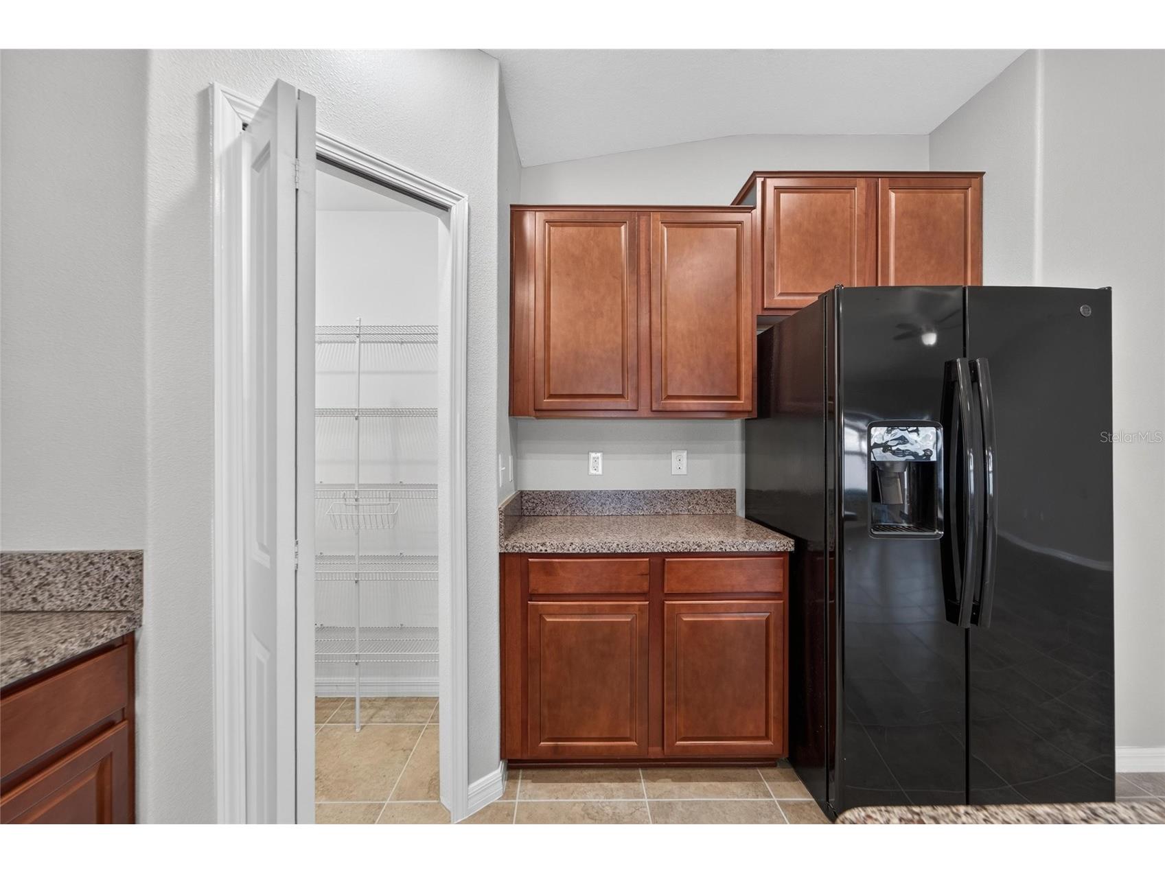 10304 Strawberry Tetra Drive Riverview FL 33578 TB8529876 image21