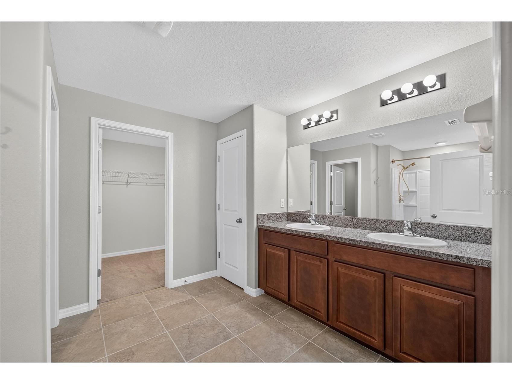 10304 Strawberry Tetra Drive Riverview FL 33578 TB8529876 image26