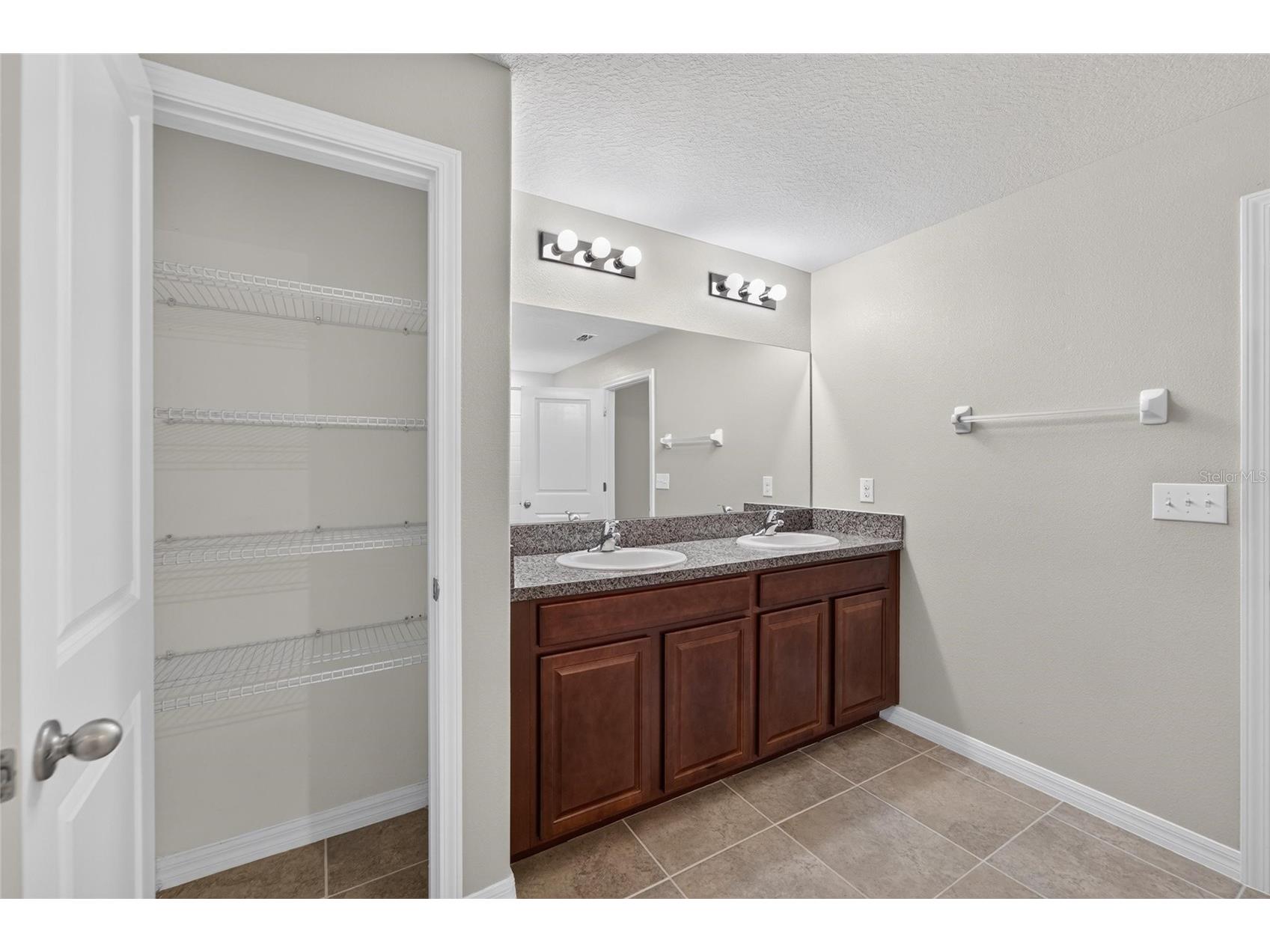 10304 Strawberry Tetra Drive Riverview FL 33578 TB8529876 image27
