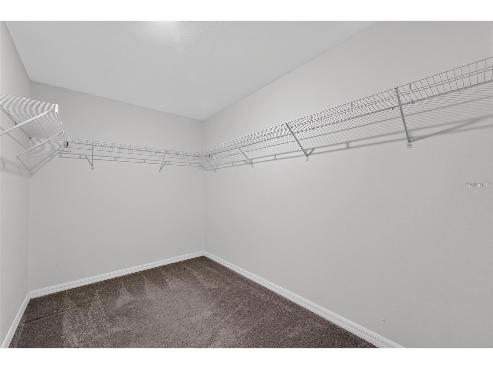 10304 Strawberry Tetra Drive Riverview FL 33578 TB8529876 image30