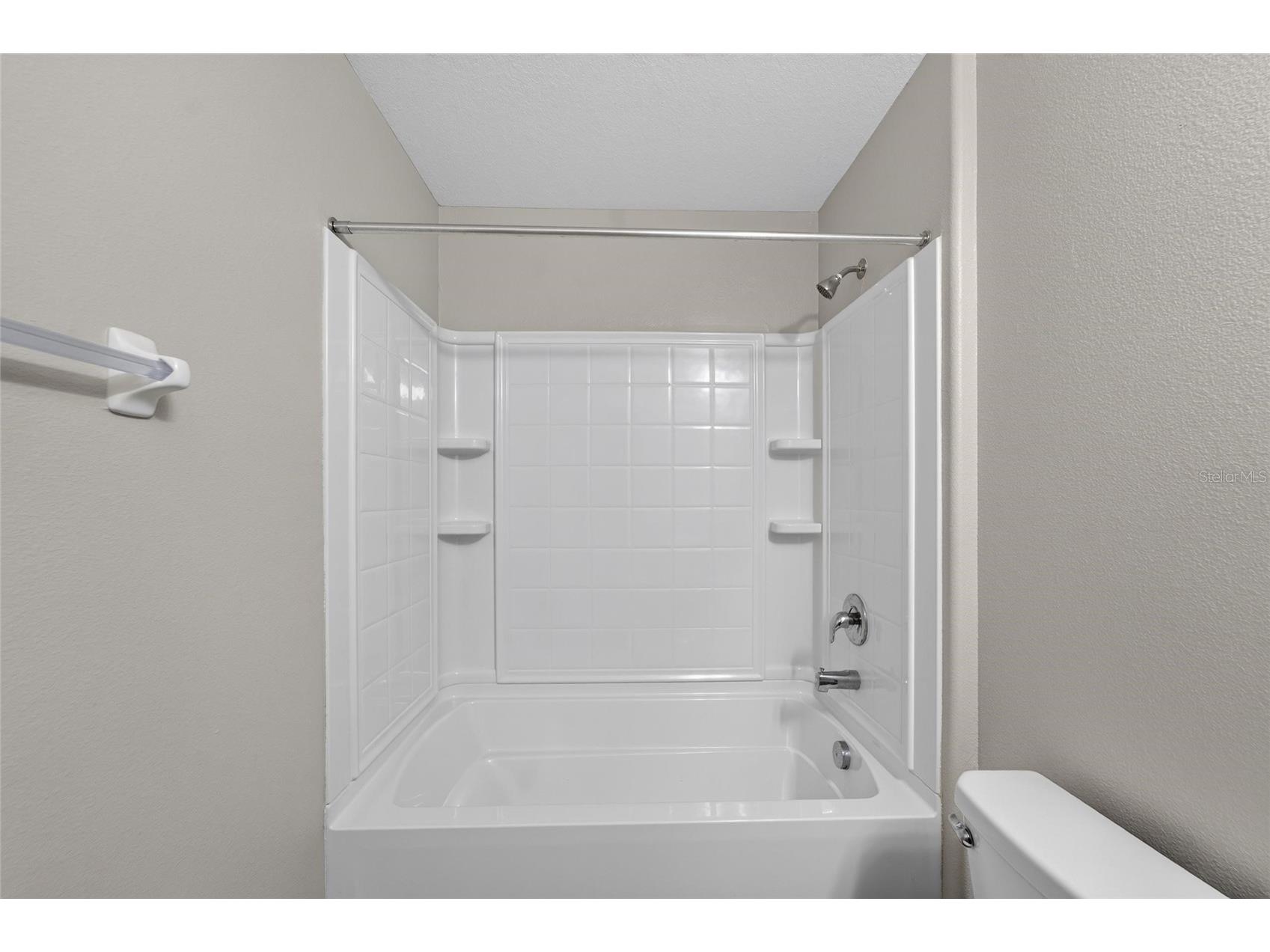 10304 Strawberry Tetra Drive Riverview FL 33578 TB8529876 image36