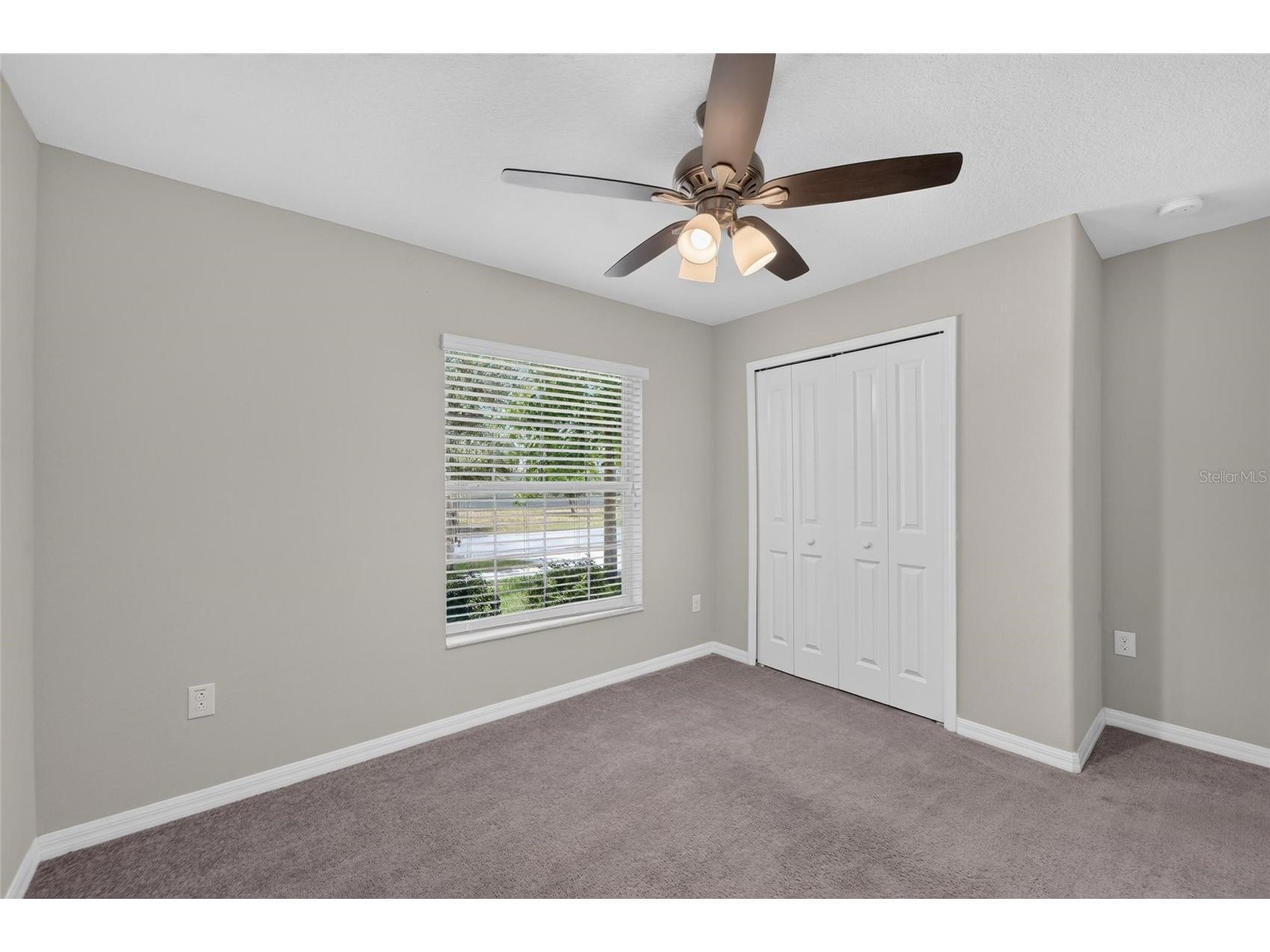 10304 Strawberry Tetra Drive Riverview FL 33578 TB8529876 image38