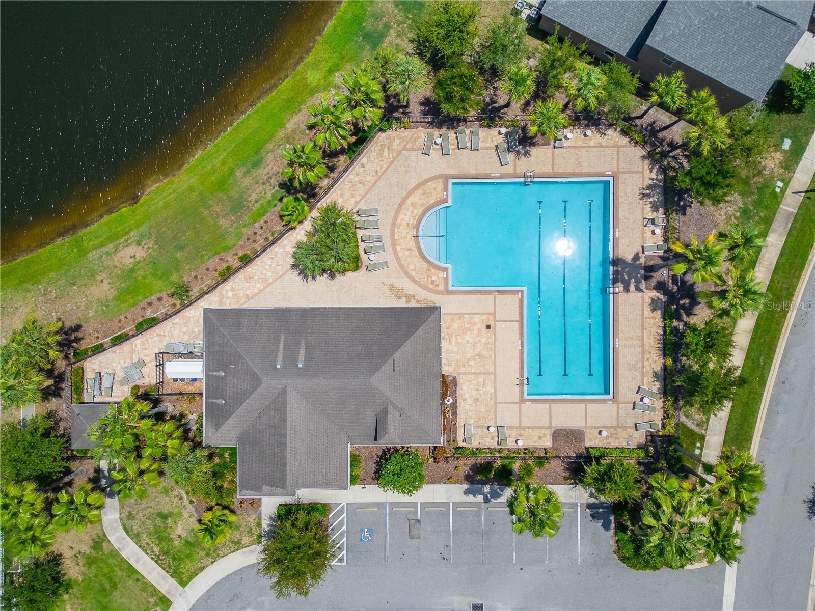 10304 Strawberry Tetra Drive Riverview FL 33578 TB8529876 image50