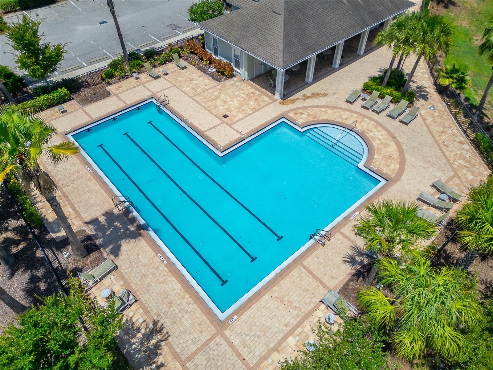 10304 Strawberry Tetra Drive Riverview FL 33578 TB8529876 image51