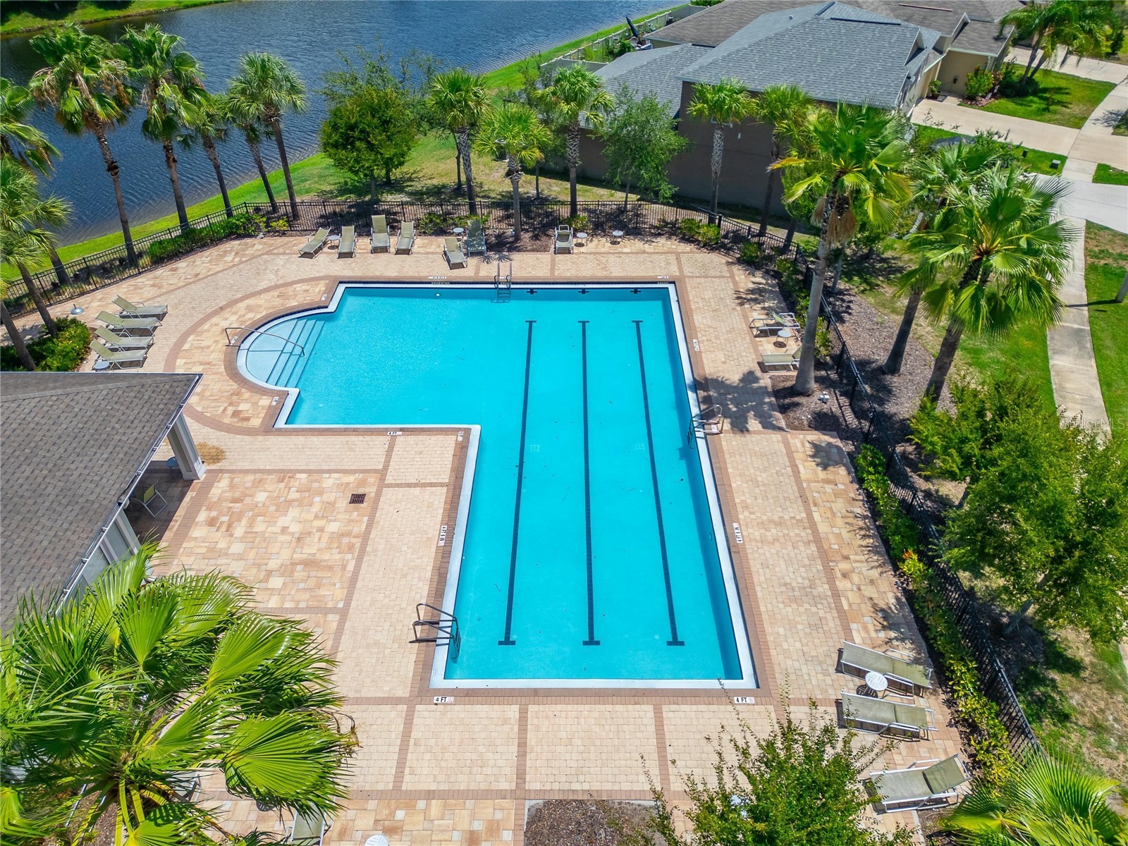 10304 Strawberry Tetra Drive Riverview FL 33578 TB8529876 image52
